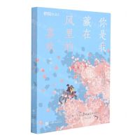 [N]你是我藏在风里的喜欢-9787511385925