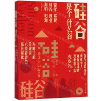 [N]硅谷是个什么谷-9787540787042