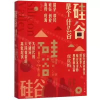 [N]硅谷是个什么谷-9787540787042