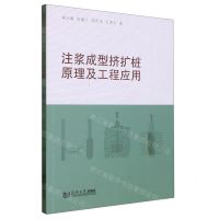 [N]注浆成型挤扩桩原理及工程应用-9787576501230