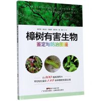 [N]樟树有害生物鉴定与防治图鉴-9787535975249