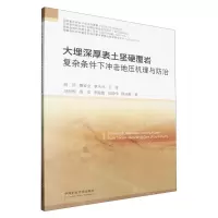 [N]大埋深厚表土坚硬覆岩复杂条件下冲击地压机理与防治-9787564661281