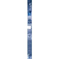 [正版] 蝴蝶山 没收星星 著 青春文学现代都市爱情姐弟恋BE美学虐恋言情小说书籍