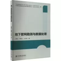 地下管网勘测与数据处理 吴献文,郑康贵,马启峰 著 大学教材大中专 正版图书籍 北京交通大学出版社