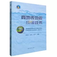[N]真地表地震成像技术-9787518360116