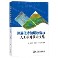 [N]深层低渗储层改造及人工举升技术文集-9787511474612