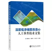 [N]深层低渗储层改造及人工举升技术文集-9787511474612