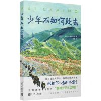 [N]少年不知何处去-9787020185276