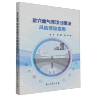 [N]盐穴储气库项目建设风险管控指南-9787518358175