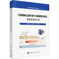污染场地土壤与地下水高级氧化技术修复原理及应用