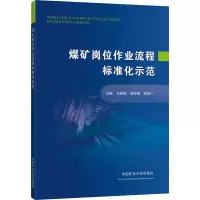 全新正版 煤矿岗位作业流程标准化示范 煤矿开采作业标准化管理书籍 中国矿业大学出版社