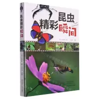 [N]昆虫精彩瞬间-9787572504464
