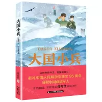 [N]大国小兵-9787571514495