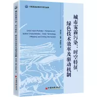 城市雾霾污染:时空特征、绿色技术效率及驱动机制 中国经济出版社