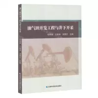 [N]油气田开发工程与井下开采-9787574407497