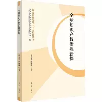 全球知识产权治理新探