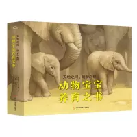 天地之间睡梦之时:动物宝宝养育之书(全4册) (美)凯瑟琳·O.加尔布雷思等 著 精装硬壳3-6岁儿童科普科普绘本儿童绘