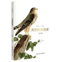 [N]天空的流浪者/长白山野生飞鸟集-9787558570346