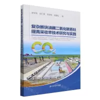 [N]复杂断块油藏二氧化碳吞吐提高采收率技术研究与实践-9787518364282