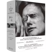 预售 渺小一生(2025新版)[美] 柳原汉雅 蔡康永 四个好友三十年人生起落的友谊史诗 Apple年度文学类图书第1名