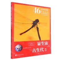 [N]显生宙古生代(5亿4100万年前-2亿5217万年前3)/46亿年的奇迹地球简史-9787020160877
