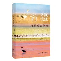 [N]新疆自然观察指南-9787100205771