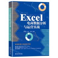 [N]Excel电商数据分析与运营实战-9787301320235