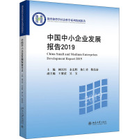 中国中小企业发展报告2019