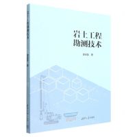 [N]岩土工程勘测技术-9787302614371