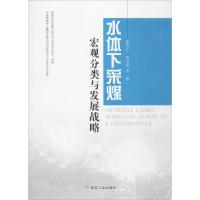 水体下采煤宏观分类与发展战略
