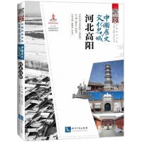 [N]中国历史文化名城(河北高阳)/中国历史文化名城名镇名村丛书-9787513080767