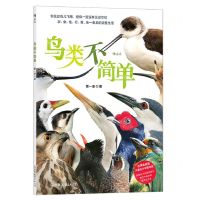 [N]鸟类不简单-9787505754119