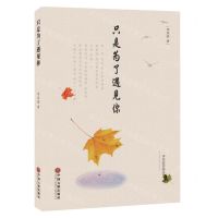 [N]只是为了遇见你-9787519044664