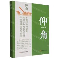 [N]仰角-9787517141549