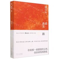 [N]路遇见路-9787530223024