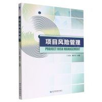 [N]项目风险管理-9787509684436