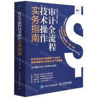 [N]审计全流程技术操作实务指南-9787115587794