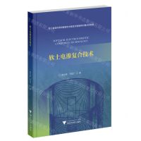 [N]软土电渗复合技术-9787308240932