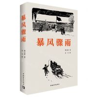 [N]暴风骤雨-9787515372495