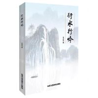 [N]衍水行吟-9787514025002