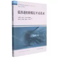 [N]低渗透松软煤层开采技术-9787564651305