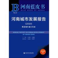 河南城市发展报告(2020) 推进城乡融合发展 2020版