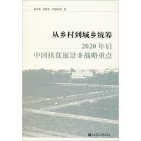 从乡村到城乡统筹 2020年后中国扶贫愿景和战略重点 陈志钢 等 著