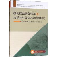 极弱胶结岩体结构与力学特性及本构模型研究