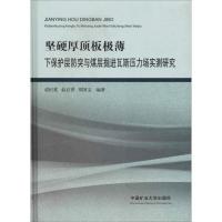 坚硬厚顶板极薄下保护层防突与煤层掘进瓦斯压力场实测研究