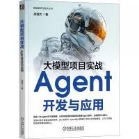 大模型项目实战 Agent开发与应用