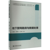 地下管网勘测与数据处理