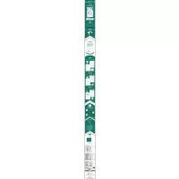 1分钟漫画人性的优点