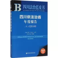 四川依法治省年度报告.2016