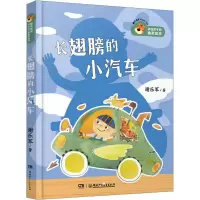 长翅膀的小汽车